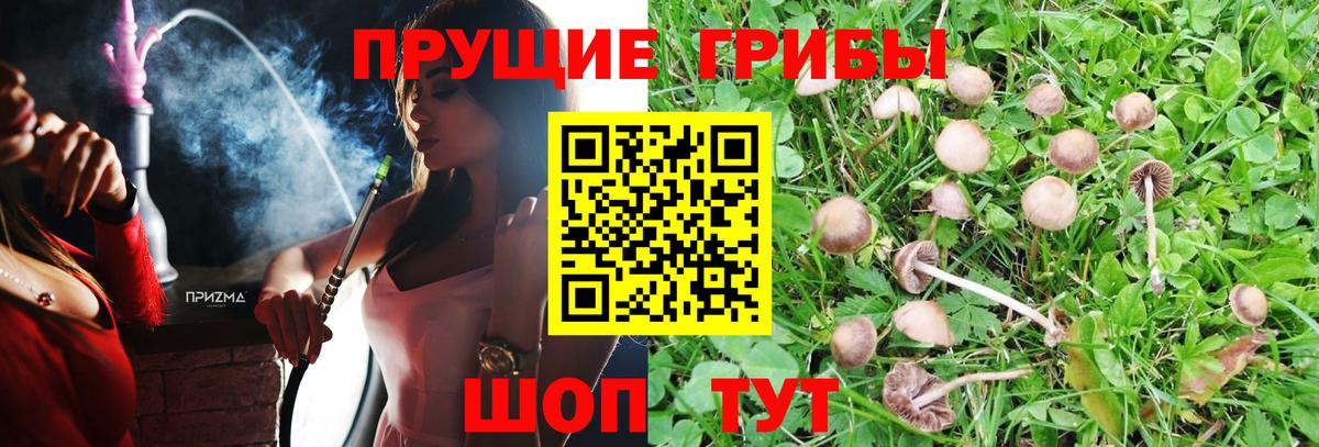 Метамфетамин Кудрово