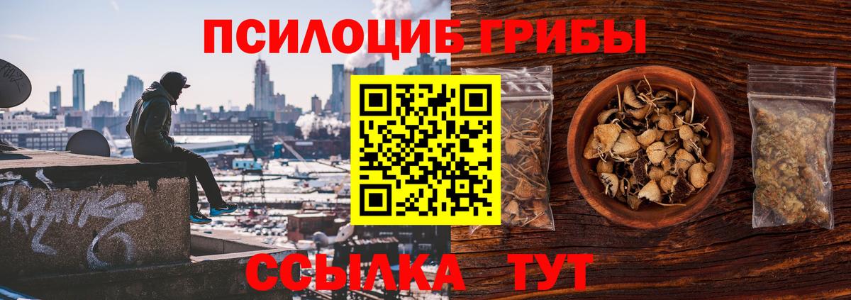Галлюциногенные грибы Cubensis Кудрово